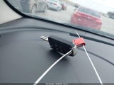 Miniaturka zdjęcia 11