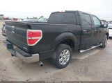 Ford F-150 Xlt 1FTFW1CF2DKG22981 снимка