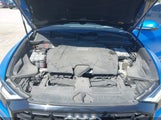 Miniaturka zdjęcia 10
