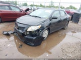 Toyota Corolla Le 2T1BU40E09C142819 снимка