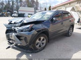 Toyota Rav4 Hybrid Xle JTMRWRFV8PD207865 photo