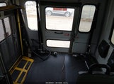 Miniaturka zdjęcia 7