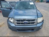 Ford Escape Xlt 1FMCU9DGXBKA91536 снимка