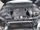 Audi A4 2.0T Premium WAUFFAFL7BN047786 fotografie