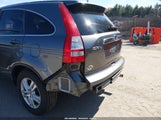 Honda Cr-V Ex-L 5J6RE4H77AL046548 снимка