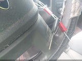 Ford F-150 Xlt 1FTFW1EF4BFA13832 снимка