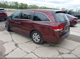Honda Odyssey Ex-L 5FNRL5H65HB015014 снимка