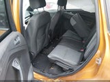 Miniaturka zdjęcia 8