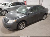 Toyota Corolla Le 2T1BU4EE3AC489526 fotografie