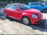 Miniaturka zdjęcia 1