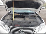 Lexus Rx 350 2T2BK1BA7DC159751 photo