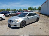 Nissan Altima 2.5 S 1N4AL3AP8GN366221 снимка