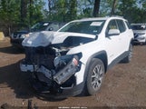 GMC Acadia Fwd Sle 1GKKNKLA8MZ232149 fotografie