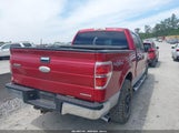 Ford F-150 Xlt 1FTFW1EF7CKD24096 снимка