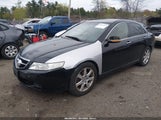Acura Tsx JH4CL96885C021477 снимка
