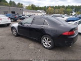 Acura Tsx JH4CL96885C021477 снимка