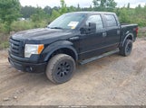 Ford F-150 Fx4/Harley-Davidson/King Ranch/Lariat/Platinum/Xl/Xlt 1FTFW1EV8AFB83715 photo