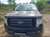 Ford F-150 Fx4/Harley-Davidson/King Ranch/Lariat/Platinum/Xl/Xlt 1FTFW1EV8AFB83715 снимка