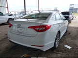 Hyundai Sonata Sport 5NPE34AF1GH432648 photo