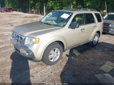 Ford Escape Xlt 1FMCU0DGXBKB78042 снимка