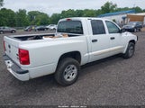 Dodge Dakota Slt 1D7HE48N05S314082 снимка
