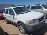 Ford Escape Xlt 1FMYU93145KC43818 снимка
