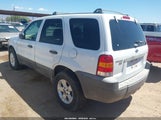 Ford Escape Xlt 1FMYU93145KC43818 снимка