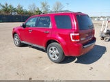Ford Escape Xlt 1FMCU0DG4AKD25146 снимка
