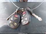 Miniaturka zdjęcia 11