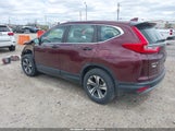 Honda Cr-V Lx 5J6RW6H39JL002220 photo
