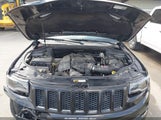 Jeep Grand Cherokee Srt8 1C4RJFDJ5EC470668 fotografie