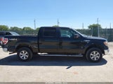 Ford F-150 Fx4/Harley-Davidson/King Ranch/Lariat/Platinum/Xl/Xlt 1FTFW1EV9AFC43260 photo