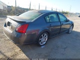 Nissan Maxima 3.5 Se 1N4BA41E47C816893 снимка