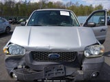 Ford Escape Xlt 1FMYU93Z57KA61070 снимка
