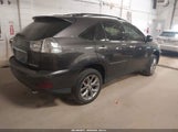 Lexus Rx 350 2T2HK31U69C123588 снимка