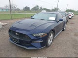 Ford Mustang Ecoboost Fastback 1FA6P8TH5L5114109 снимка