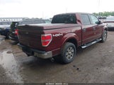 Ford F-150 Fx4/King Ranch/Lariat/Platinum/Xl/Xlt 1FTPW14V89FA41351 fotografie