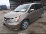 Honda Odyssey Ex-L 5FNRL38699B025731 снимка