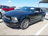 Ford Mustang V6 Deluxe/V6 Premium 1ZVFT80N155168555 photo