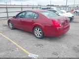 Nissan Maxima 3.5 Sl 1N4BA41E55C838849 снимка