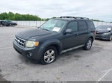 Ford Escape Xlt 1FMCU93G19KB86823 снимка