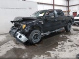Ford F-150 Xlt 1FTFW1EF7EKE22273 fotografie