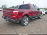 Ford F-150 Xlt 1FTFW1EF1BFC15558 снимка
