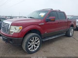 Ford F-150 Xlt 1FTFW1EF1BFC15558 снимка