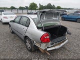 Chevrolet Malibu 1G1ZS52F85F119301 снимка