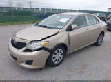 Toyota Corolla Le 2T1BU4EE5AC354807 fotografie