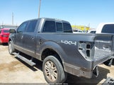 Ford F-150 Fx4/Harley-Davidson/King Ranch/Lariat/Platinum/Xl/Xlt 1FTFW1EVXAFD43013 fotografie