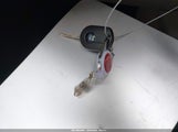 Miniaturka zdjęcia 11