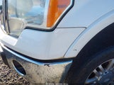 Ford F-150 Fx2 Sport/Lariat/Xl/Xlt 1FTFX1CV8AFA68807 fotografie