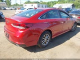 Hyundai Sonata Se 5NPE24AF9KH798420 снимка